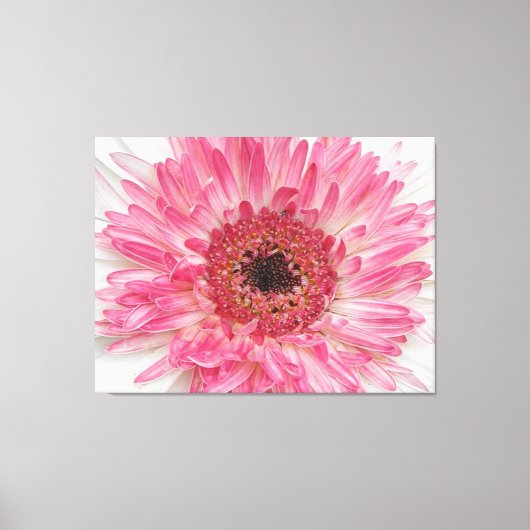 Baby shower Roze ventilator - Roze ontwerp Canvas Afdruk (Voorkant)