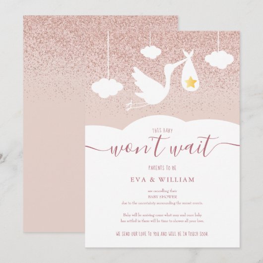 Baby shower, Sprinkle Cancelation Stork Glitter Kaart (Voorkant / Achterkant)