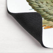 BABY SHOWER STOREN MUISMAT (Hoek)