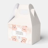 Baby shower Teddy bear beer Bedankdoosjes (Voorkant Zijde)