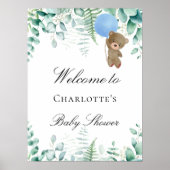Baby shower teddy bek blauw eucalyptusbos poster (Voorkant)