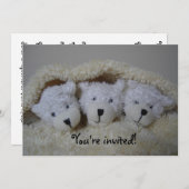 Baby shower triplet beren kaart (Voorkant / Achterkant)