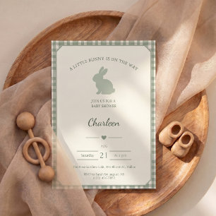 Baby Shower Uitnodiging Little Bunny Is On The Way