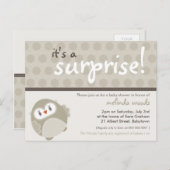BABY SHOWER UITNODIGING:: surprise uil 6 Uitnodiging Briefkaart (Voorkant / Achterkant)