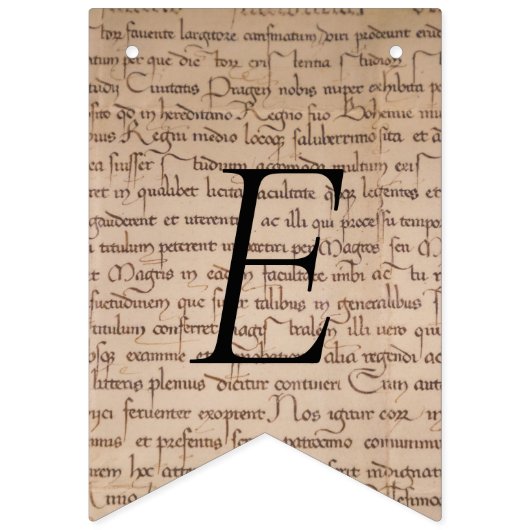 Baby shower van Book Thapy Tale Vlaggetjes (Derde vlag)