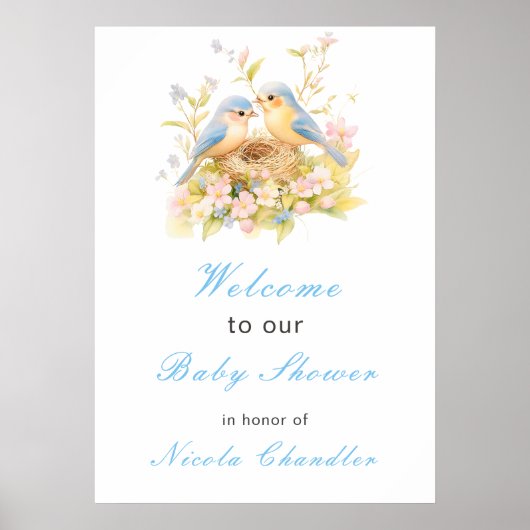 Baby shower van de voorjaarsvogels poster (Voorkant)