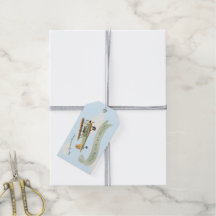  Baby shower van een vliegtuig