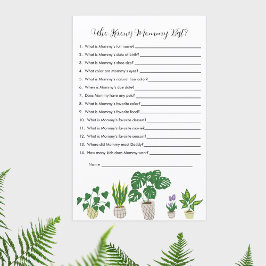 Baby shower van gekookte Planten die het mammie sp