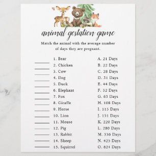 Baby shower van Woodland Animal Gontest Flyer