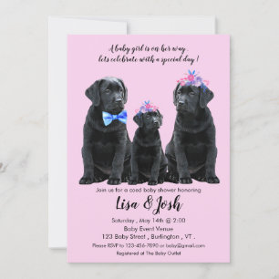 Baby shower voor Black Labrador Retriever Aankondiging