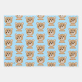 Baby shower voor snelle Beer  ompakken Papierblad Inpakpapier Vel (Voorkant 3)