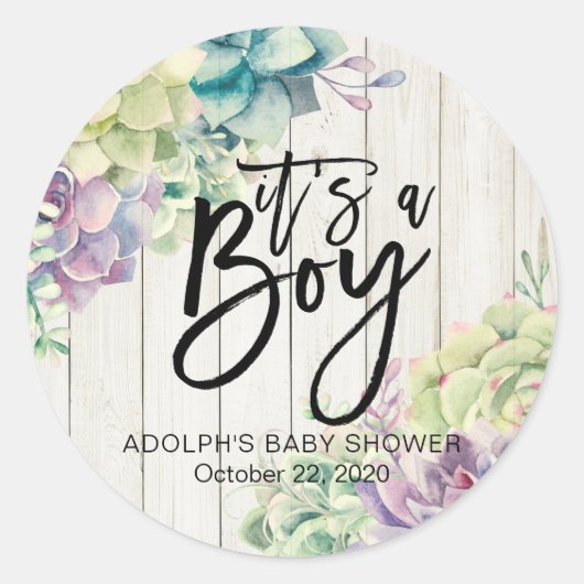 Baby shower Waterverf Succulente Planten Wit hout Ronde Sticker (Voorkant)