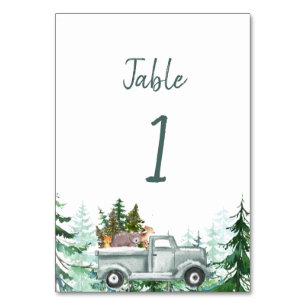 Baby shower winterbos kaart