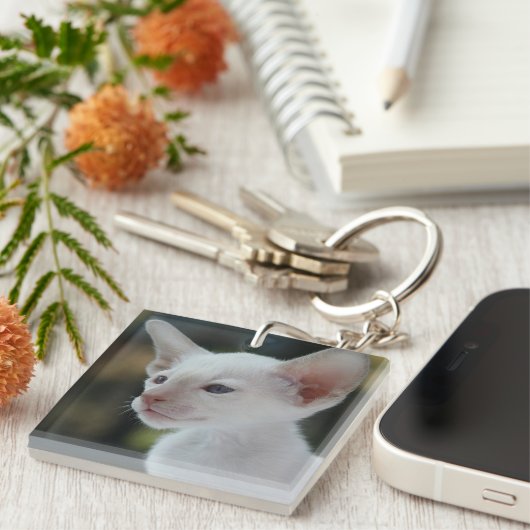Baby Siamese Kat Sleutelhanger (Voorkant Rechts)