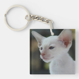 Baby Siamese Kat Sleutelhanger