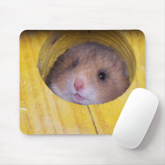 Baby Sierra Muismat (Met muis)