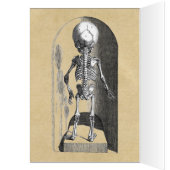 Baby Skeletkaart voor/achter (Binnen (Links))