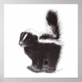 Baby Skunk Poster (Voorkant)