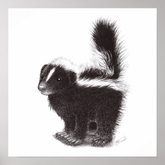 Baby Skunk Poster (Voorkant)