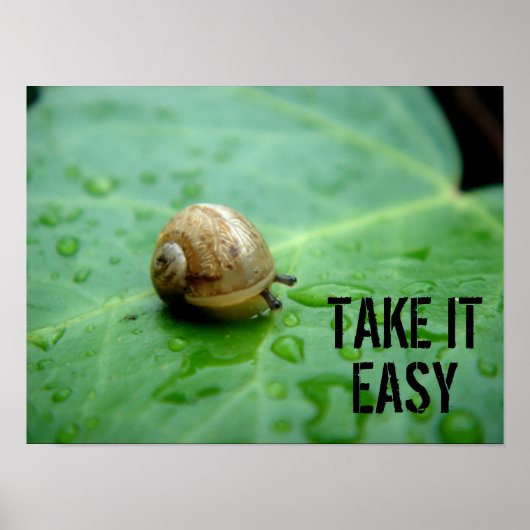 Baby slak poster (Voorkant)