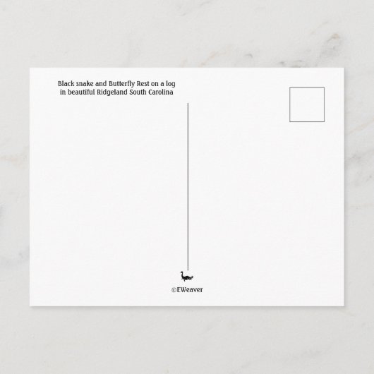 Baby slang en vlinder delen een logboek briefkaart (Achterkant)