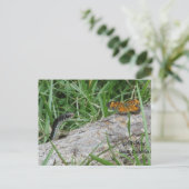 Baby slang en vlinder delen een logboek briefkaart (Staand voorkant)