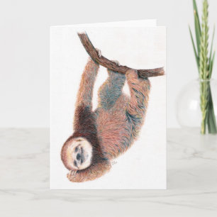 Baby sloth grooming zelf kaart