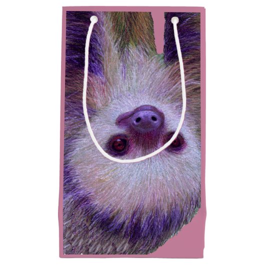 Baby Sloth Klein Cadeauzakje (Voorkant)