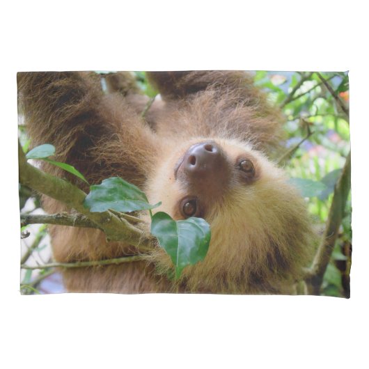 Baby Sloth Kussensloop (Voorkant)