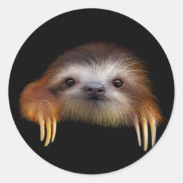 Baby Sloth Ronde Sticker