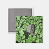 Baby-snappende schroefmagneten magneet (Voorkant / Achterkant)