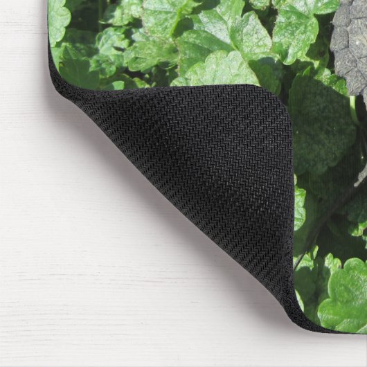 Baby-Snapschildpad Muismat (Hoek)