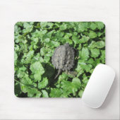 Baby-Snapschildpad Muismat (Met muis)