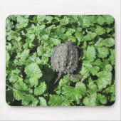 Baby-Snapschildpad Muismat (Voorkant)