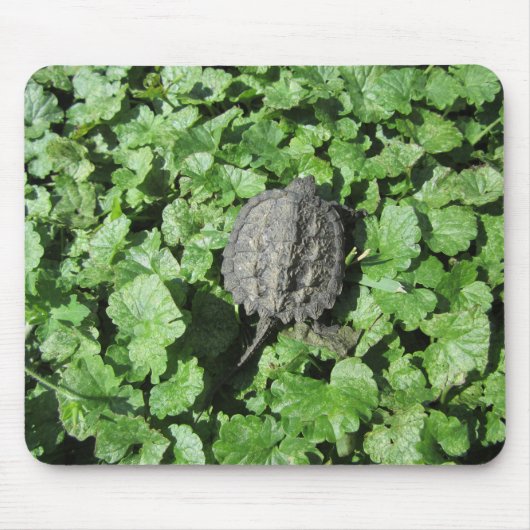 Baby-Snapschildpad Muismat (Voorkant)