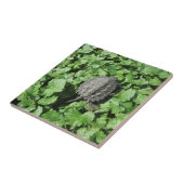 Baby-Snapschroeftegel Tegeltje (Zijkant)