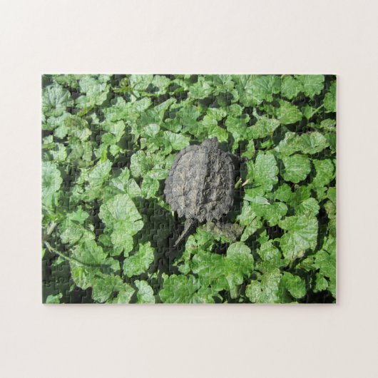 Baby Snapturle puzzel Legpuzzel (Horizontaal)