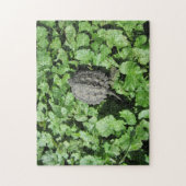 Baby Snapturle puzzel Legpuzzel (Verticaal)