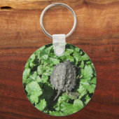 Baby Snapturtle Sleutelhanger (Voorkant)
