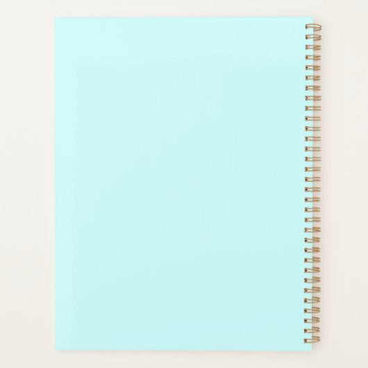 Baby Snowman met Crystal Snowflakes Ornament Planner (Achterkant)