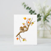 Baby Sparrow Birds Blank Notecards Bedankkaart (Staand voorkant)