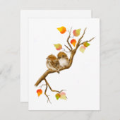 Baby Sparrow Birds Blank Notecards Bedankkaart (Voorkant / Achterkant)