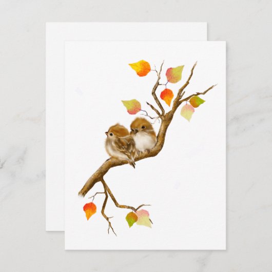 Baby Sparrow Birds Blank Notecards Bedankkaart (Voorkant / Achterkant)