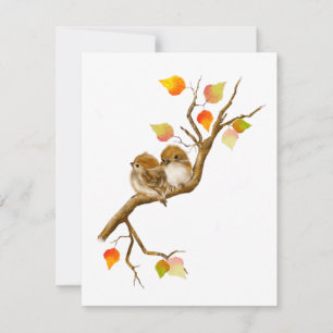 Baby Sparrow Birds Blank Notecards Bedankkaart