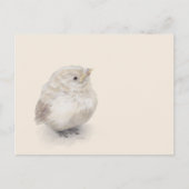 Baby Sparrow Digital-Waterverf Briefkaart (Voorkant)