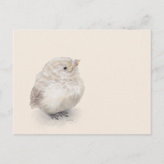 Baby Sparrow Digital-Waterverf Briefkaart (Voorkant)