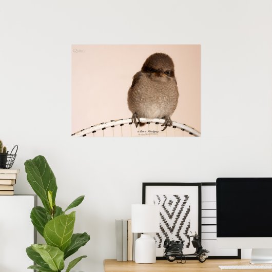 Baby Sparrow Poster (Thuiskantoor)