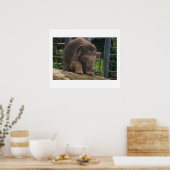 Baby Stappen Poster (Keuken)