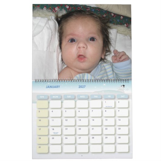 Baby Steve Calendar Kalender (Jan 2027)
