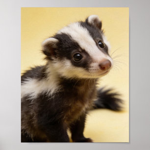 Baby Stinkdier Portret Kinderkamer Muur Kunst Poster